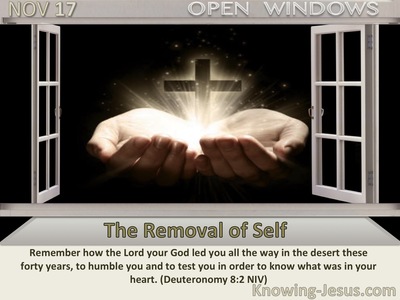 The Removal of Self